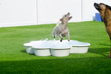 Two QTY Paw Pool™️Package by One Dog One Bone™️